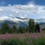 Le9 Bel A Les Collons, Switzerland Apartment *